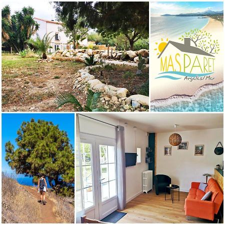 Mas Paret Studio Plein Sud - Parc 1 Ha Au Calme Argelès-sur-Mer Exterior foto