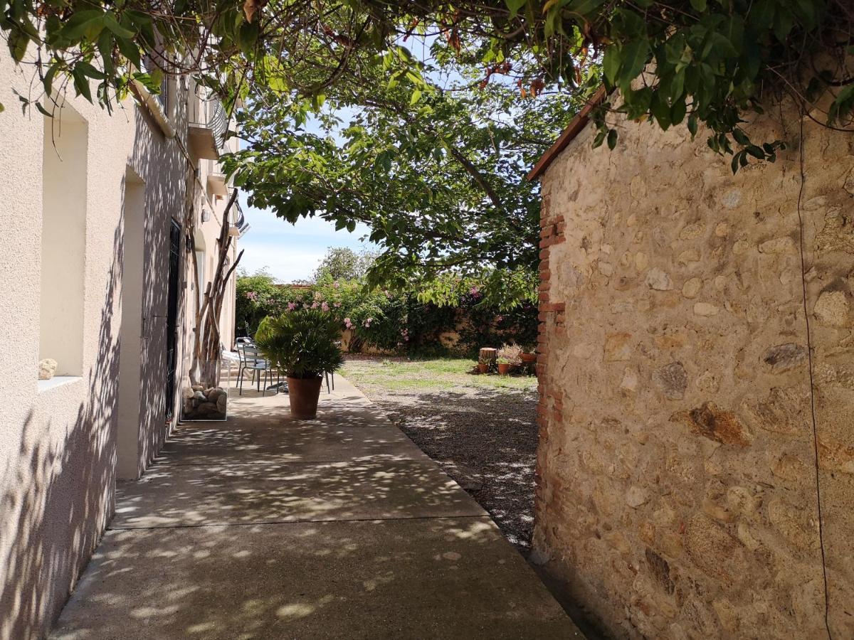 Mas Paret Studio Plein Sud - Parc 1 Ha Au Calme Argelès-sur-Mer Exterior foto