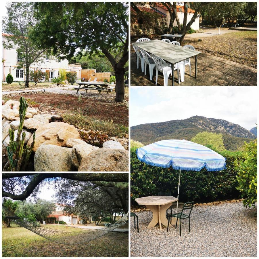Mas Paret Studio Plein Sud - Parc 1 Ha Au Calme Argelès-sur-Mer Exterior foto